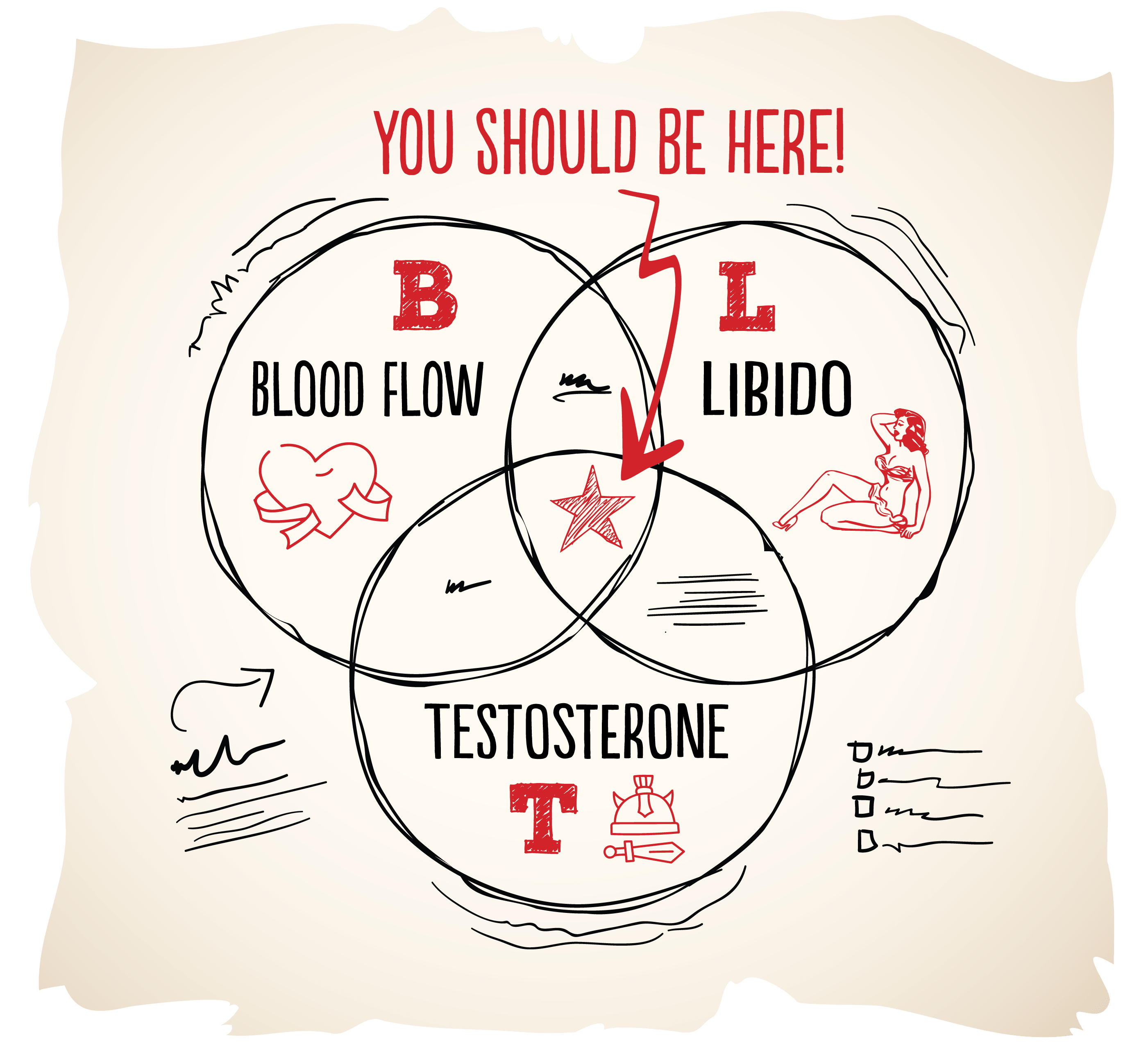 Bloodflow - Libido - Testosterone circle diagram.  Star in the middle. You should be here.